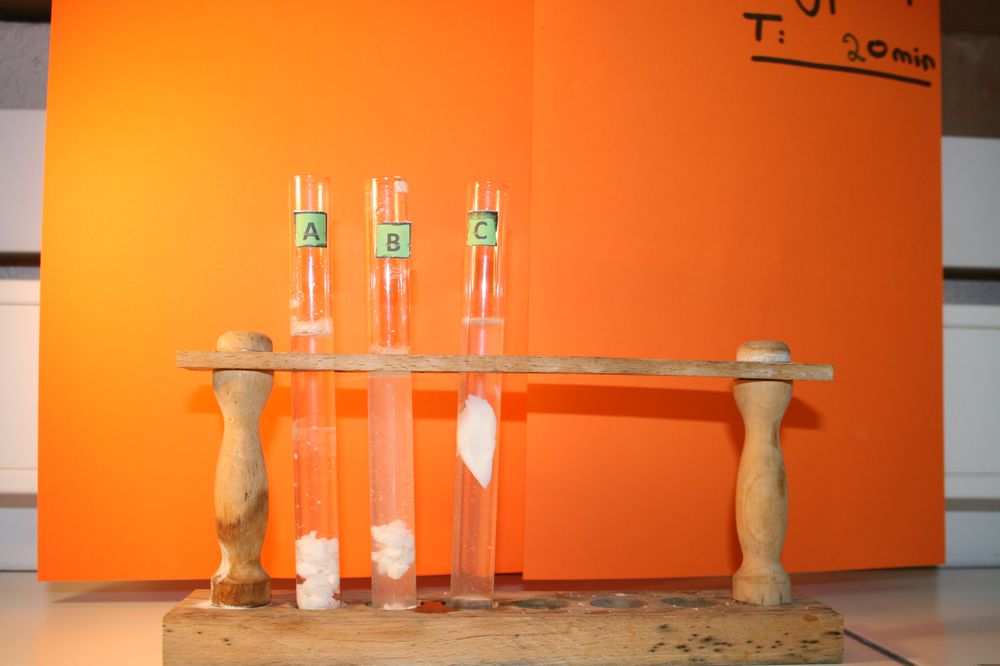 gal/LES_CINQUIEMES/ACTIVITE DIGESTION IN VITRO/Groupe_04/Groupe04_T_00h20min/Groupe04_T_00h_20min_10.JPG
